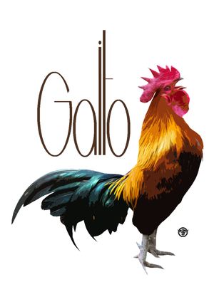 
                  
                    Laden Sie das Bild in den Galerie-Viewer, Il Gallo
                  
                