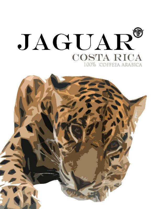 
                  
                    Laden Sie das Bild in den Galerie-Viewer, Jaguar 250g-Röstwerk Herzogkaffee
                  
                